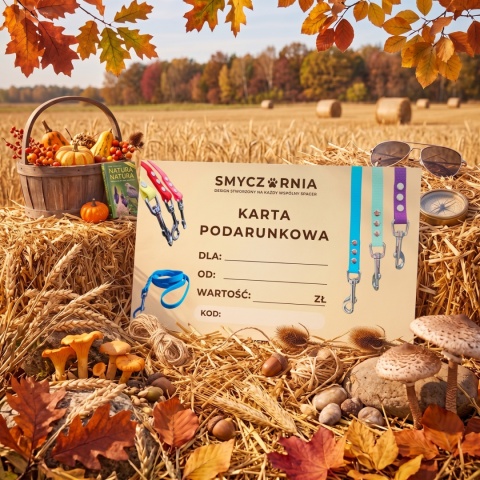 Karta podarunkowa