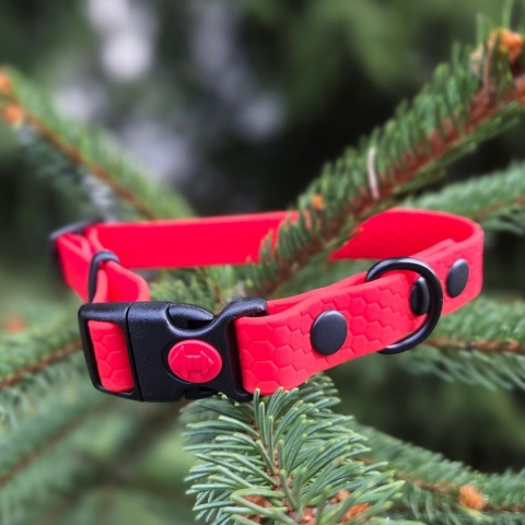 Obroża na klamrę 16mm z regulacją obwodu