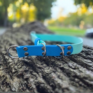 Obroża półzaciskowa 16mm z regulacją obwodu