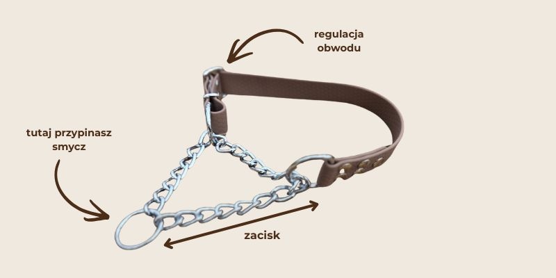 Budowa obroży półzaciskowej martingale z taśmy Hexa